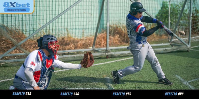 Quy định cá cược Bóng Chày online mới nhất tại 8XBET
